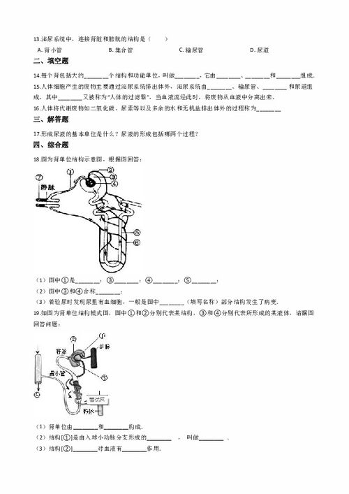 苏教版七年级下册生物 11.1人体泌尿系统的组成 练习 含答案解析 