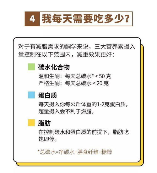 生酮减肥终极指南