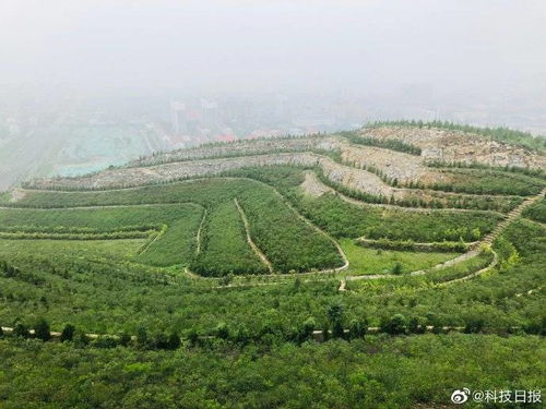 把荒山变绿 一共需要几步