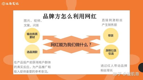 网上很多投资公司招聘金融操盘手交易员，无经验零基础应届实习生带薪免费培训，请问大师们，这些公司是在