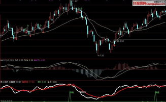 怎么用愚公涨跌指标选出"逢低买"的股票