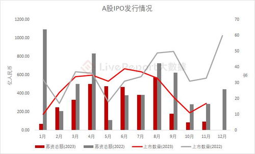 11月份有什么新股发行?