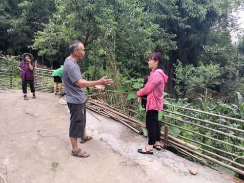 代表风采 雨城区人大代表徐雅蓉 为民解忧 做群众的贴心人