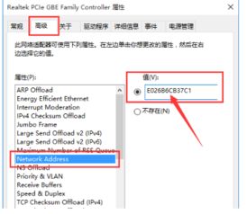 win10网卡地址设置