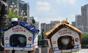 广州3名大学生头顶 狗窝 抗议高房价 组图 