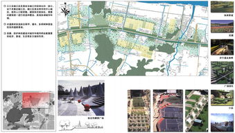 生态城市设计案例分析，城市生态规划设计案例