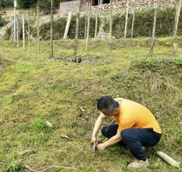 驻村算不算挂职(驻村算挂职吗)