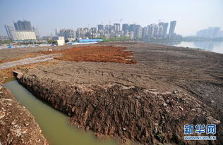 武汉数百湖泊 人间蒸发 地产商填湖建房触目惊心 