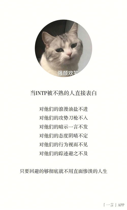 不能强行接近的除了猫,还有INTP 