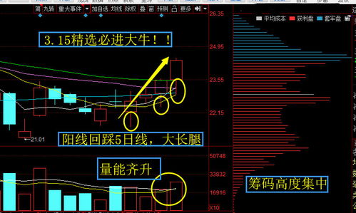 怎么找出被严重低估的股票？