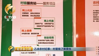 大学生做农村电商 代购员 三个月销售额80万 组图 从代购衣服 家电到充话费 水电费,张龙艳的农村淘宝服务站 无所不