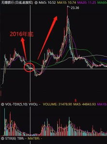 烯碳新材退市投资者怎么索赔