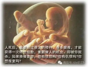 超度婴灵后如何知道孩子是否已投胎往生