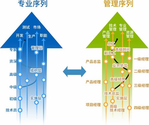 职业规划师在线咨询 职业生涯规划咨询 职业规划咨询多少钱 向阳生涯 