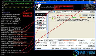 软件环境包括哪些内容(系统软件包括几种基本类型)