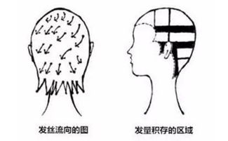 给我来个瘦脸针我也敢剪刘诗诗范冰冰这款 空气发尾