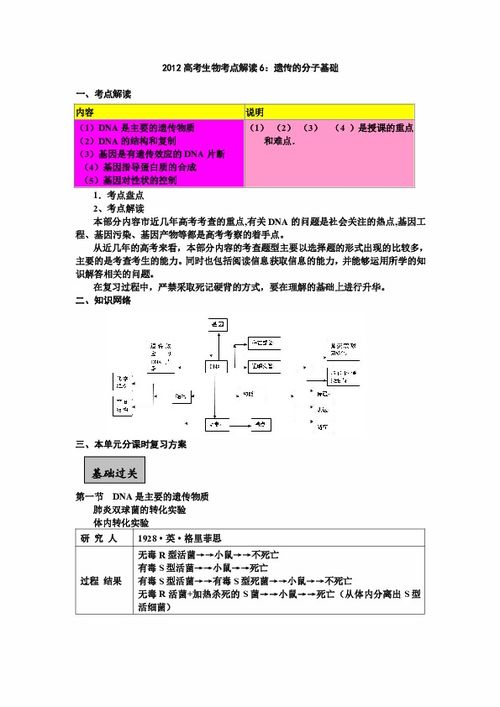 2012高考生物考点解读6 遗传的分子基础下载 生物 