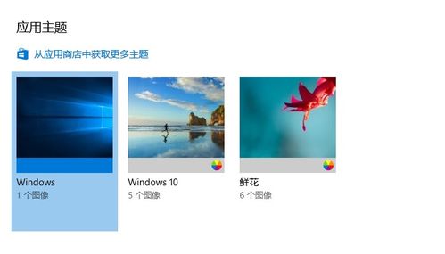 win10从商店安装的主题没法显示