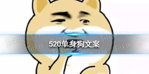 520发的文案单身狗（适合520单身狗发朋友圈的短句） 第1张