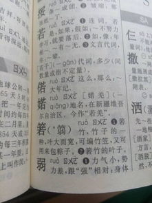 砀山词语解释_场加偏旁有哪些字？