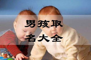 2019年2月起名取名男Baby八字起名