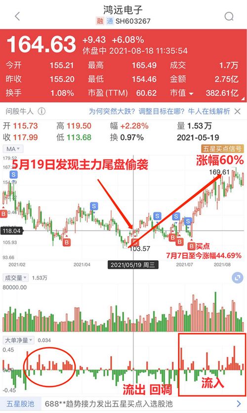 股市大单净量1.2是什么意思