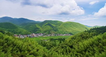 避暑胜地莫干山消费很高吗 有没有不收门票的景点和停车场 (农村停车场免费景点有哪些)