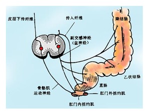 治疗直肠炎的方法是什么呢