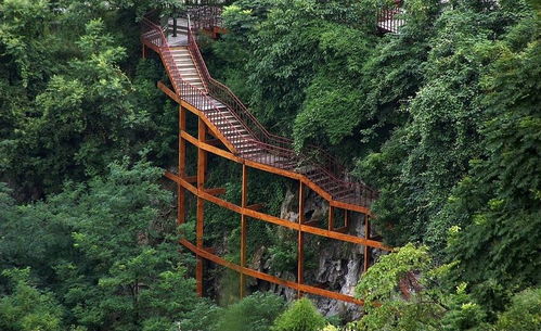 渠县龙潭风景 