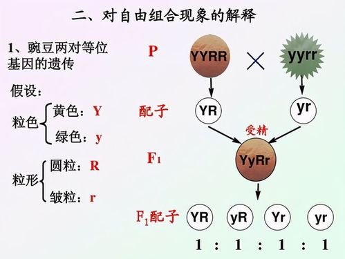 为什么农民只能买种子,不能自留 别再相信阴谋论了