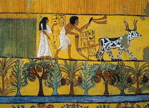 晚间阅科学 古埃及第五王朝结局预言人类未来, 科学家 在自我毁灭路上