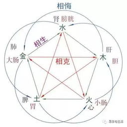 易海遨游第二十二篇 干支 八卦的五行生克极其各种关系