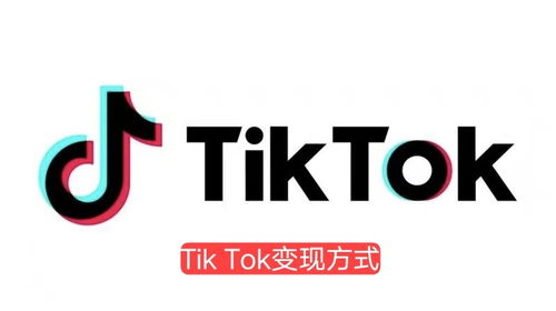 下载 tiktok_TikTok广告投放费用