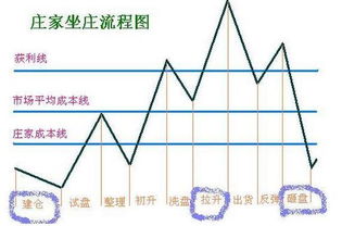 股票总是赔的根本原因是，庄家的技术永远高明于股民？