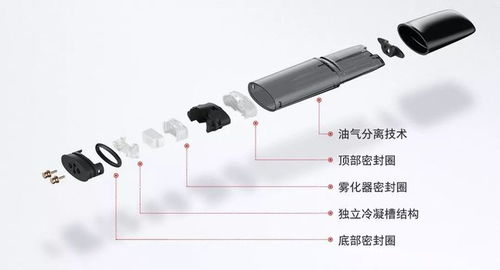 陈冠希代言 小野 ,电子烟这把火能越烧越旺吗 案例精选