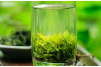白茶味和绿茶味上有什么区别,白茶和绿茶的区别,白茶和绿茶哪个好