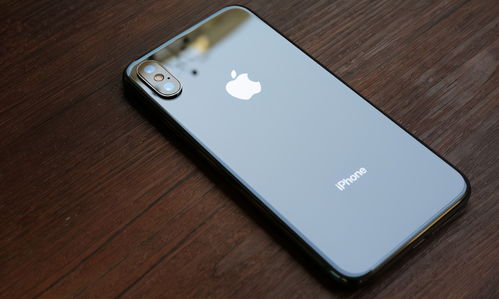 苹果iPhone13 名字不变,网友 今年iPhone手机会涨价吗