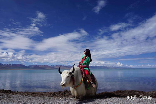 去西藏旅游,这些禁忌千万注意,很多人吃过亏 