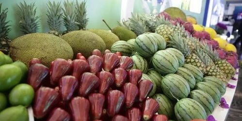 海南特色水果,海南最名贵的20种水果？