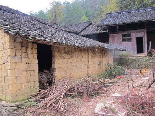 城市女跟凤凰男回农村老家,竟连夜赶回城里 好险,差点嫁过去了