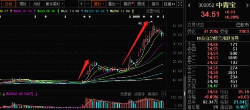 兆驰股份股票期权激励计划是否是利好