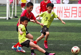 学校业余足球队筹建方案,学校足球队组建方案