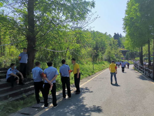 张家界旅游停车攻略(张家界市区免费停车场在哪里)