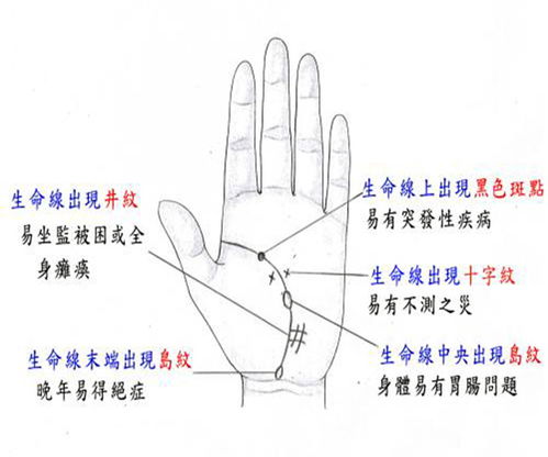 手掌的三条线分别代表什么