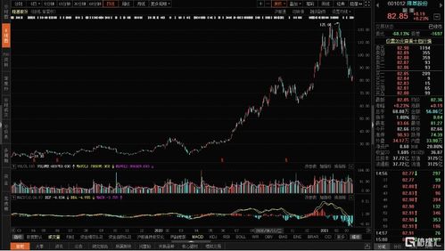 隆基股份、亨通光电、哈尔斯、的股票代码是多少。