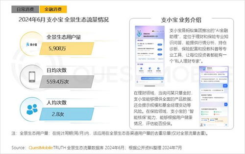 美国品牌查重服务：提高网站流量与收益的关键