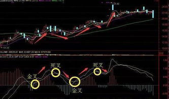 股票中，金叉、死叉是怎么回事？要图。