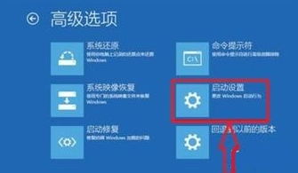 win10专业版显示模式