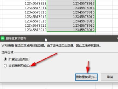 WPS表格中,如何删除重复项,只保留一个数据 