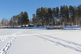 大雪风涛，一幅冬日壮美画卷，大雪风涛的意思是什么